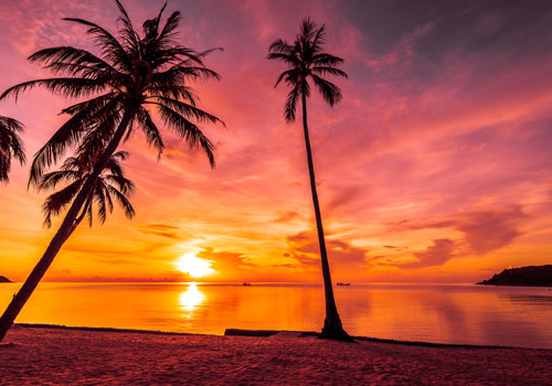 Где взять денег, чтобы съездить на каникулы: займ в Минске срочно